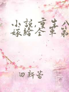 小说,重生八零嫁给全军第一硬汉