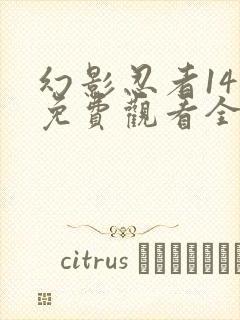 幻影忍者14季免费观看全集