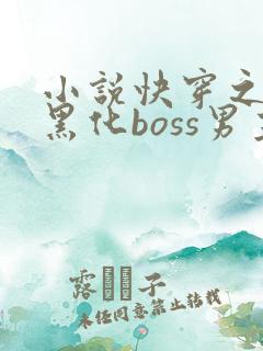 小说快穿之拯救黑化boss男主txt