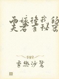 两嫁后我的新任夫君有秘密全本阅读