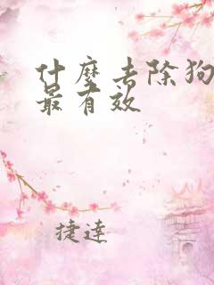 什么去除狗尿味最有效