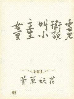 女主叫卫云岚的重生小说免费阅读