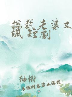 总裁老婆又美又飒 短剧