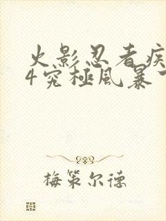 火影忍者疾风传4究极风暴下载