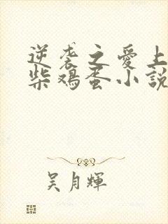 逆袭之爱上情敌柴鸡蛋小说在线阅读