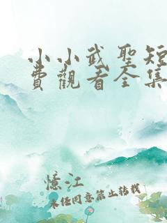 小小武圣短剧免费观看全集