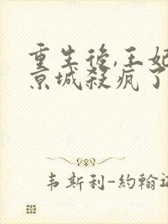 重生后,王妃在京城杀疯了