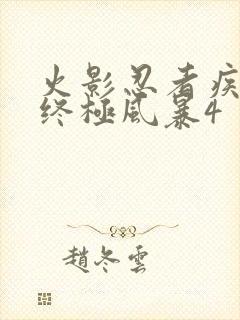 火影忍者疾风传终极风暴4