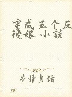 穿成五个反派的后娘 小说
