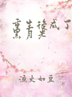 重生后成了权臣黑月光