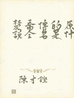 楚乔传的原著小说全名是什么啊