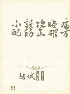 小说攻略病娇男配的正确方法免费阅读