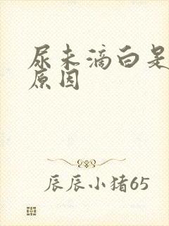 尿未滴白是什么原因