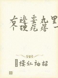 右边睾丸里面有个硬疙瘩 一碰还疼