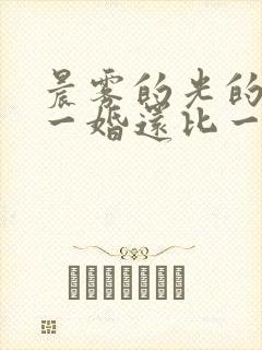 晨雾的光的小说一婚还比一婚高