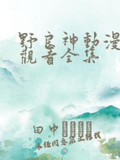 野良神动漫免费观看全集