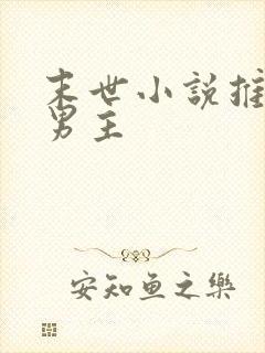 末世小说推荐双男主