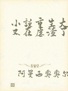 小说重生大小姐又在虐渣了