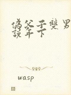 伪父子双男主小说年下