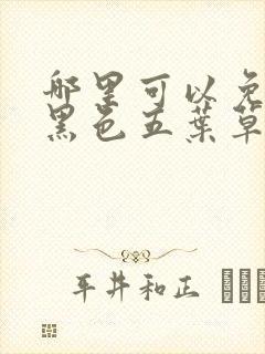 哪里可以免费看黑色五叶草