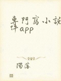 专门写小说的软件app