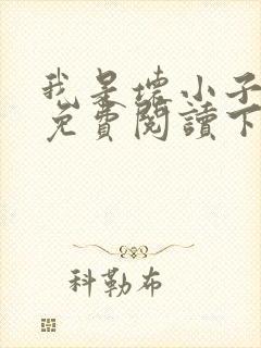 我是坏小子漫画免费阅读下拉式六漫画