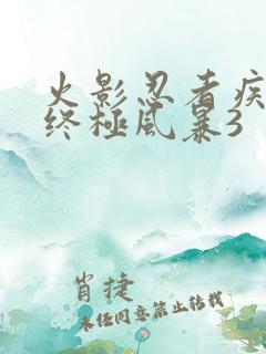 火影忍者疾风传终极风暴3