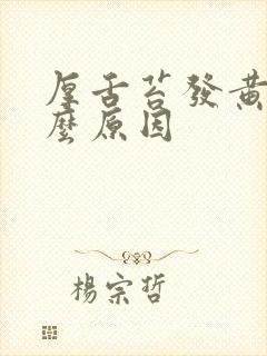 厚舌苔发黄是什么原因