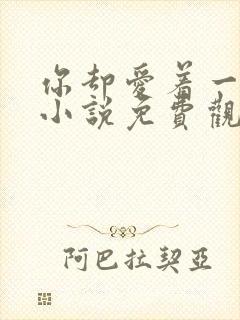 你却爱着一个他小说免费观看