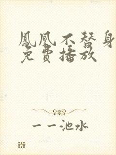 凤凰不替身短剧免费播放