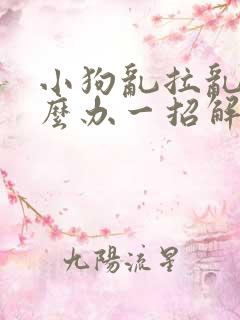 小狗乱拉乱尿怎么办一招解决