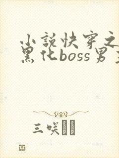 小说快穿之拯救黑化boss男主txt