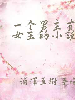 一个男主有很多女主的小说