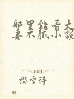 哪里能看大佬宠妻不腻小说