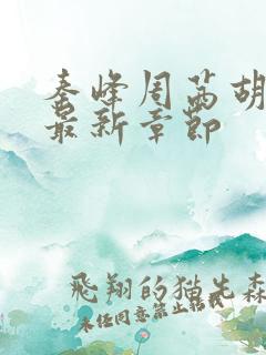 秦峰周茜胡佳云最新章节