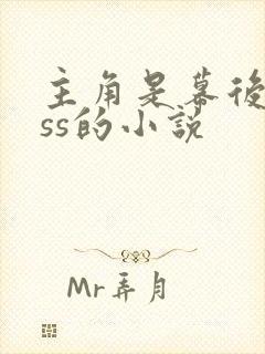 主角是幕后boss的小说