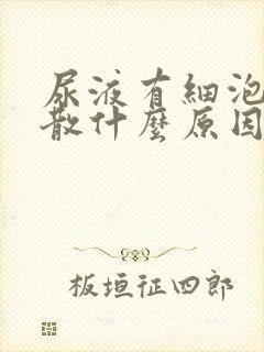 尿液有细泡沫不散什么原因