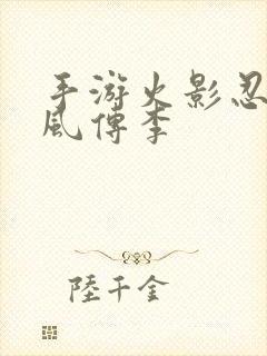 手游火影忍者疾风传李