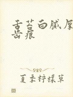 舌苔白腻厚 有齿痕