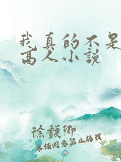 我真的不是盖世高人小说