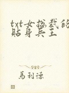 txt女总裁的贴身兵王