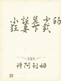 小说慕少的千亿狂妻下载