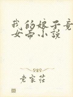 我的娘子竟然是女帝小说
