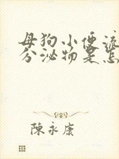 母狗小便流白色分泌物是怎么回事