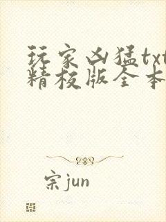 玩家凶猛txt精校版全本下载