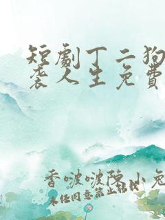 短剧丁二狗的逆袭人生免费观看