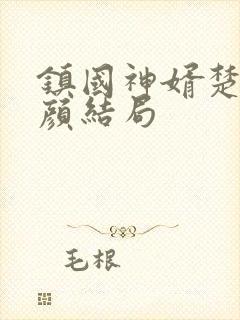 镇国神婿楚尘宋颜结局