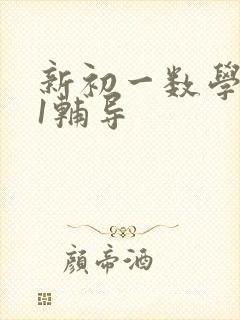 新初一数学1对1辅导