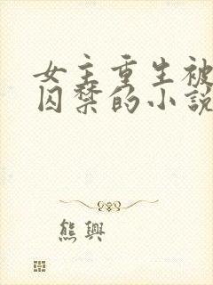 女主重生被男主囚禁的小说