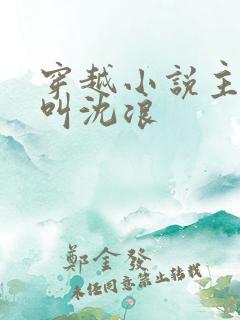 穿越小说主人公叫沈浪